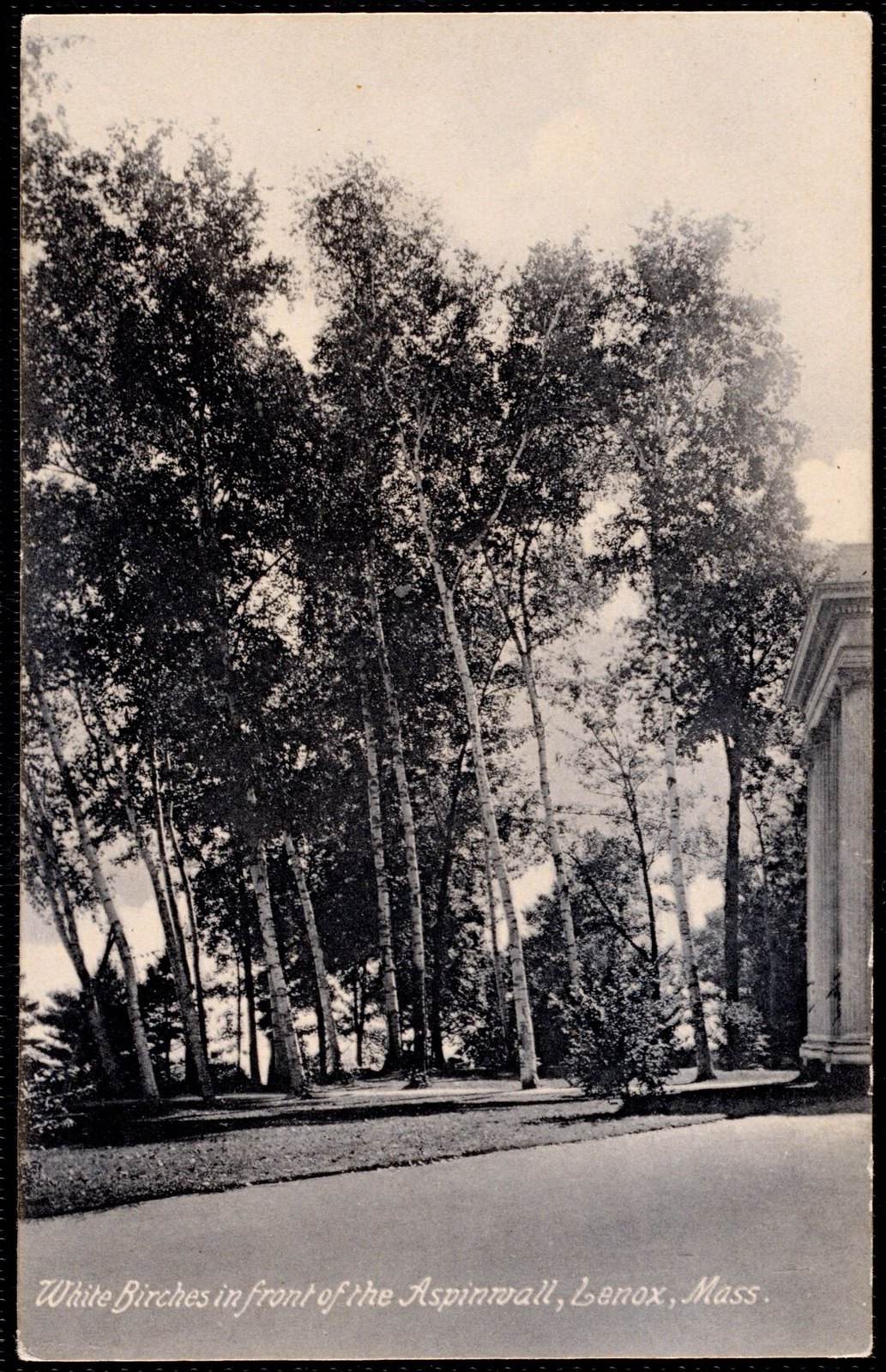 Aspinwall Hotel: white birches in front. about 1907–1911.