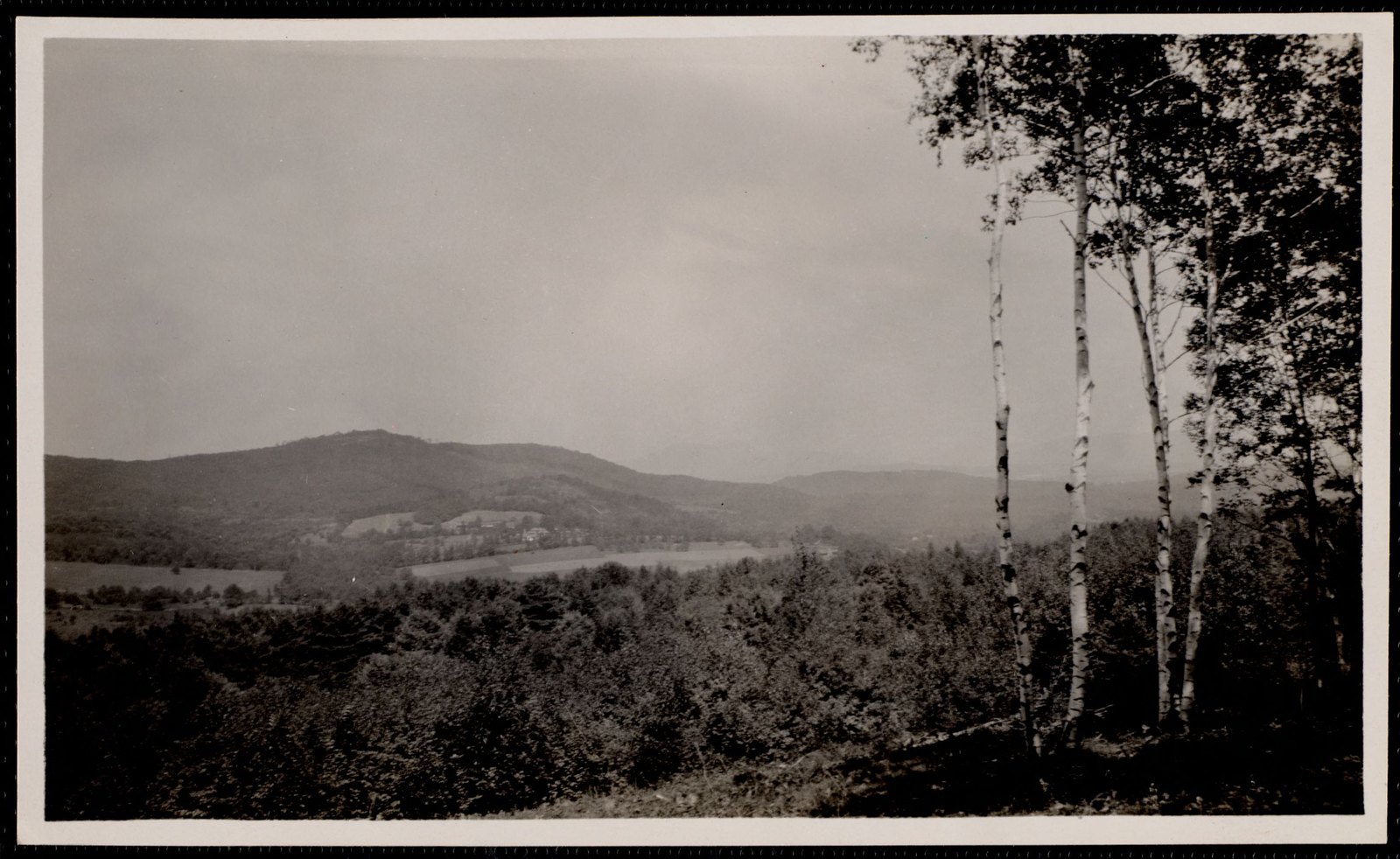 Woolsey Woods. September 2, 1910.