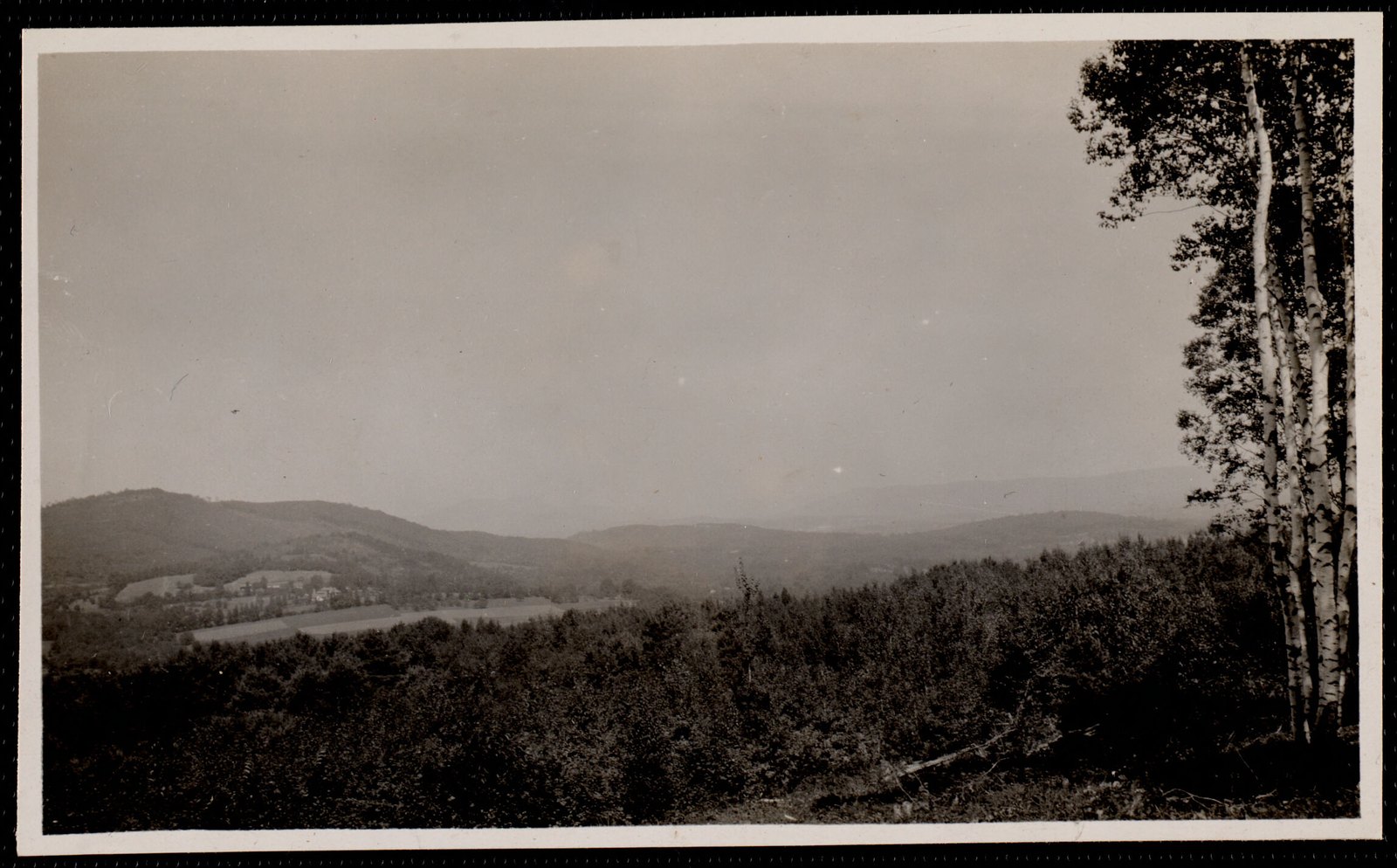 Woolsey Woods. September 2, 1910.