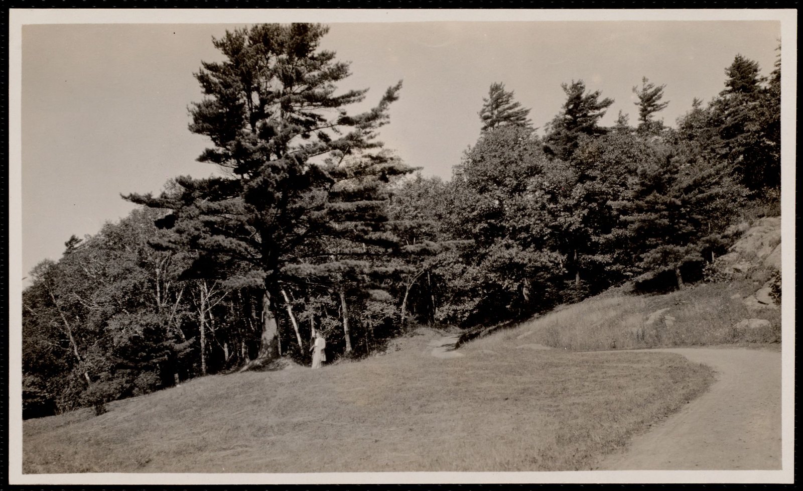 Woolsey Woods. September 2, 1910.