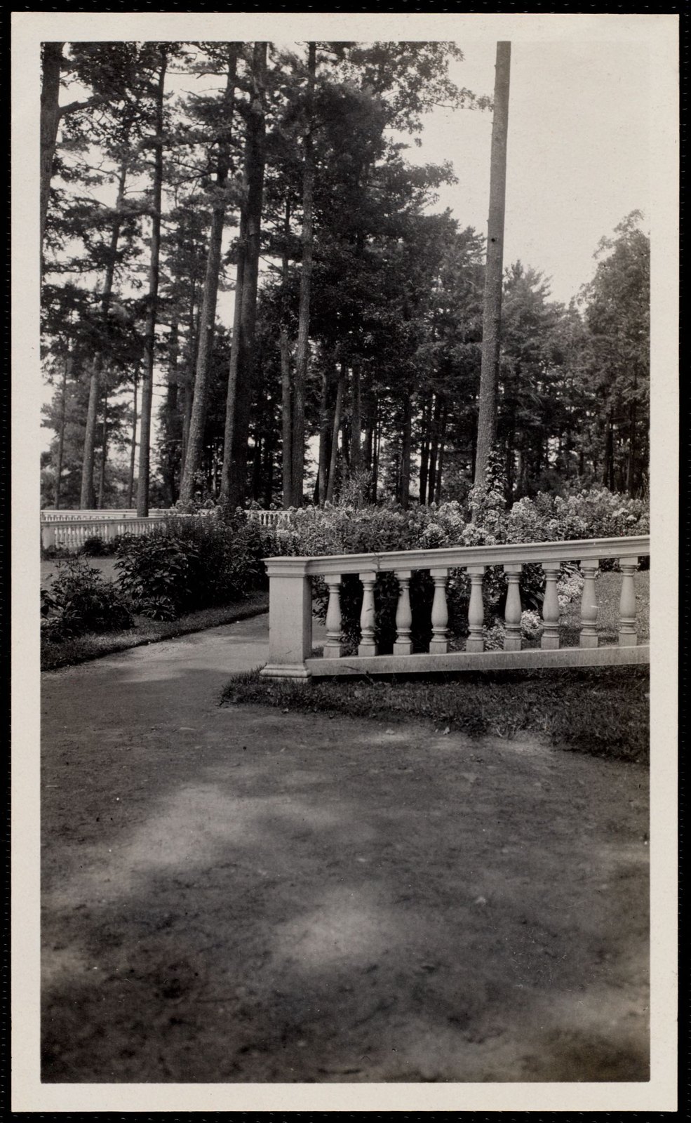 Aspinwall garden. August 1, 1906.