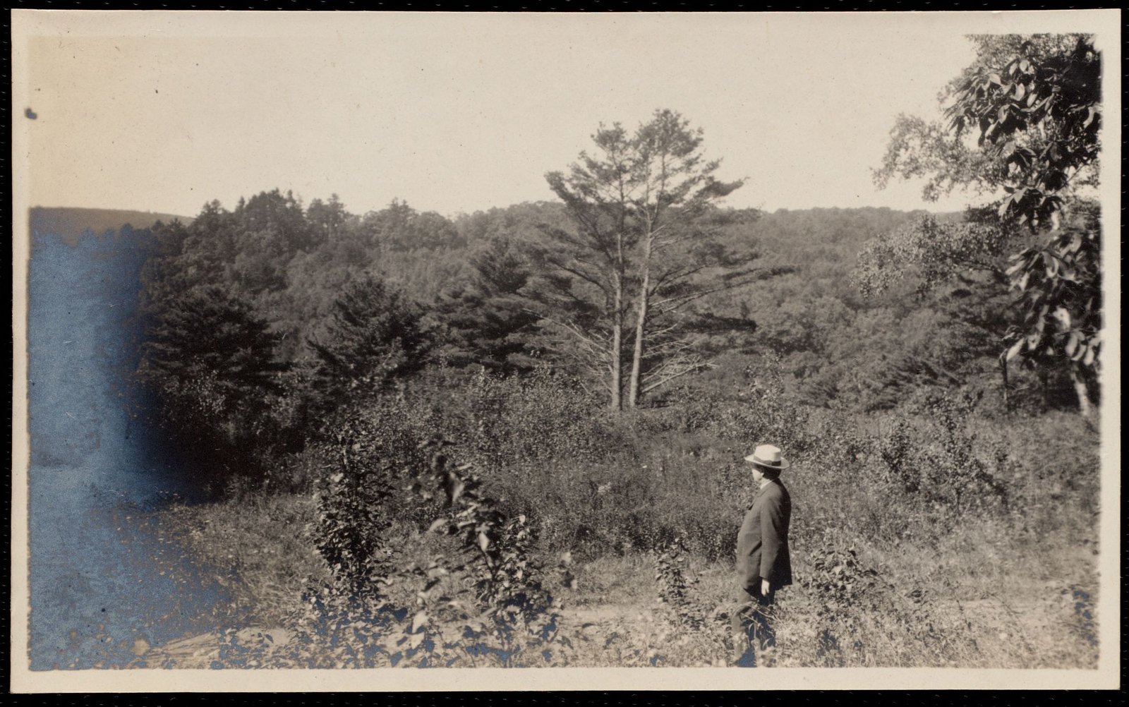 Woolsey Woods: pine woods & C.J.B. about 1905–1910.