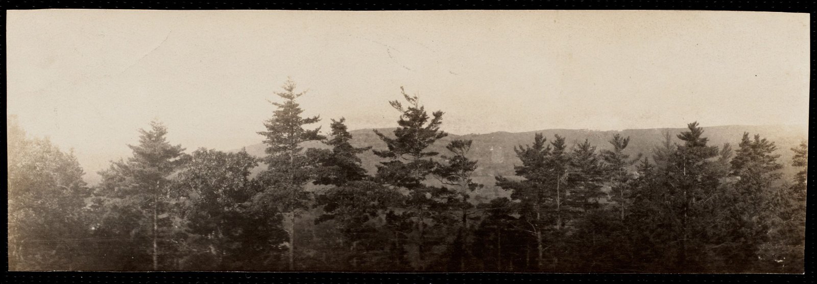 Aspinwall Hotel: view from balcony. August 1905.
