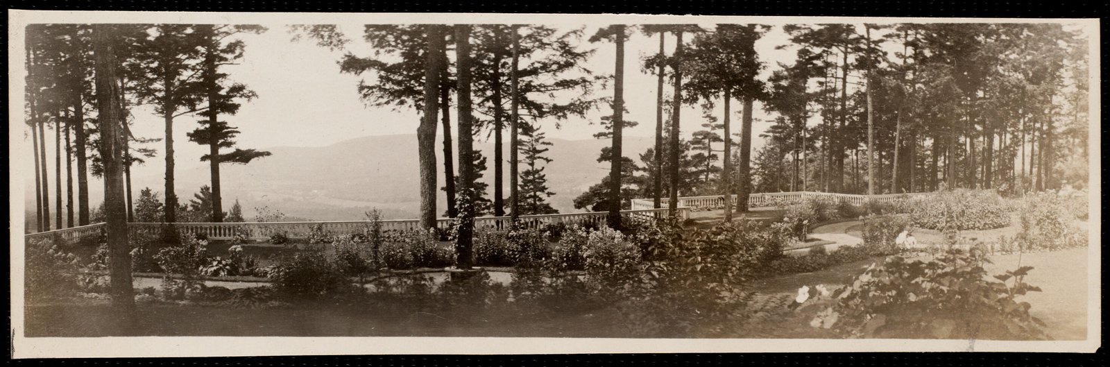 Aspinwall Hotel: view from garden. August 1906.