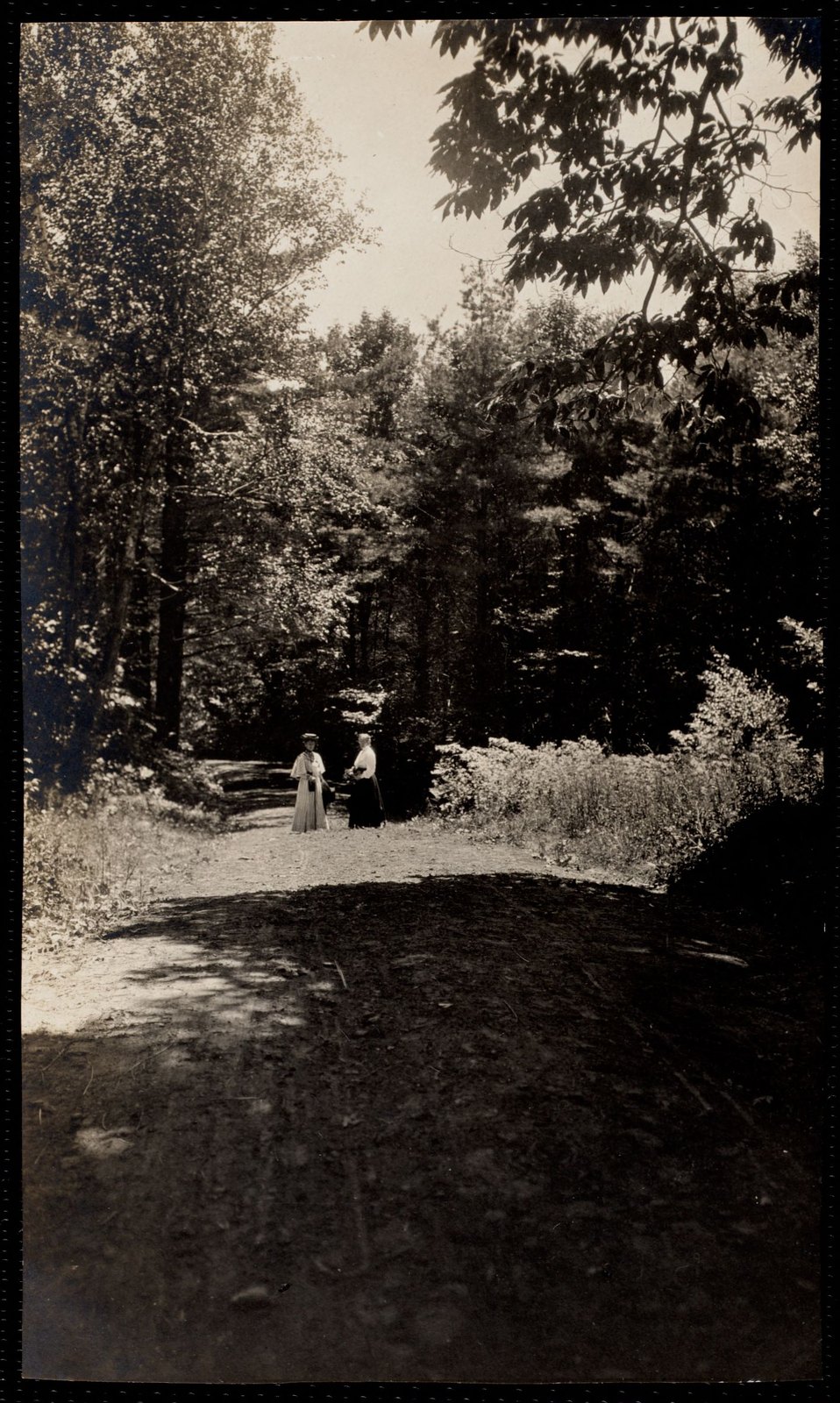 Aspinwall Hotel: Miss Haydock & Miss Authouc[?] in pine woods. about 1905–1910.