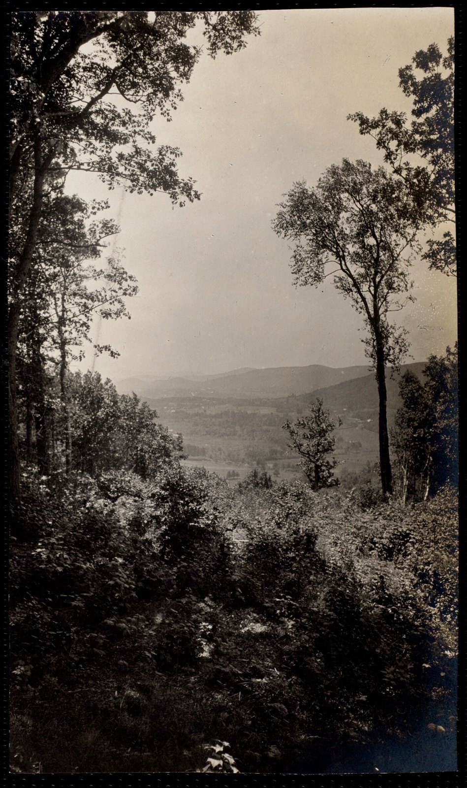 Woolsey Woods: vista of Lenox valley. about 1905–1910.