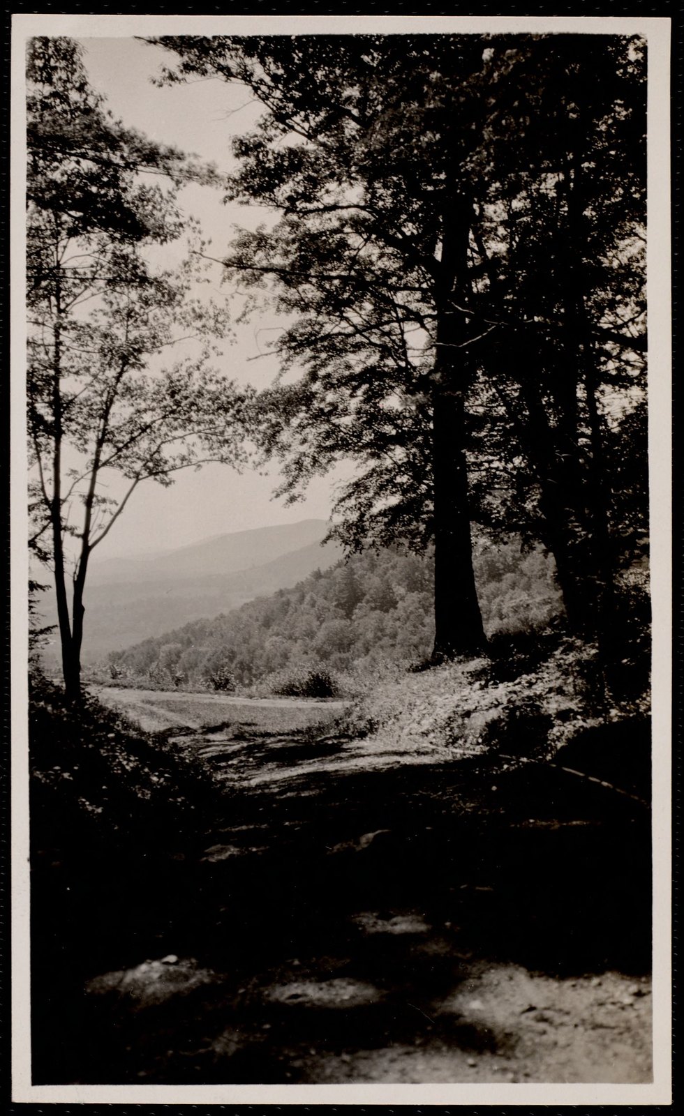 Woolsey Woods. September 1910.