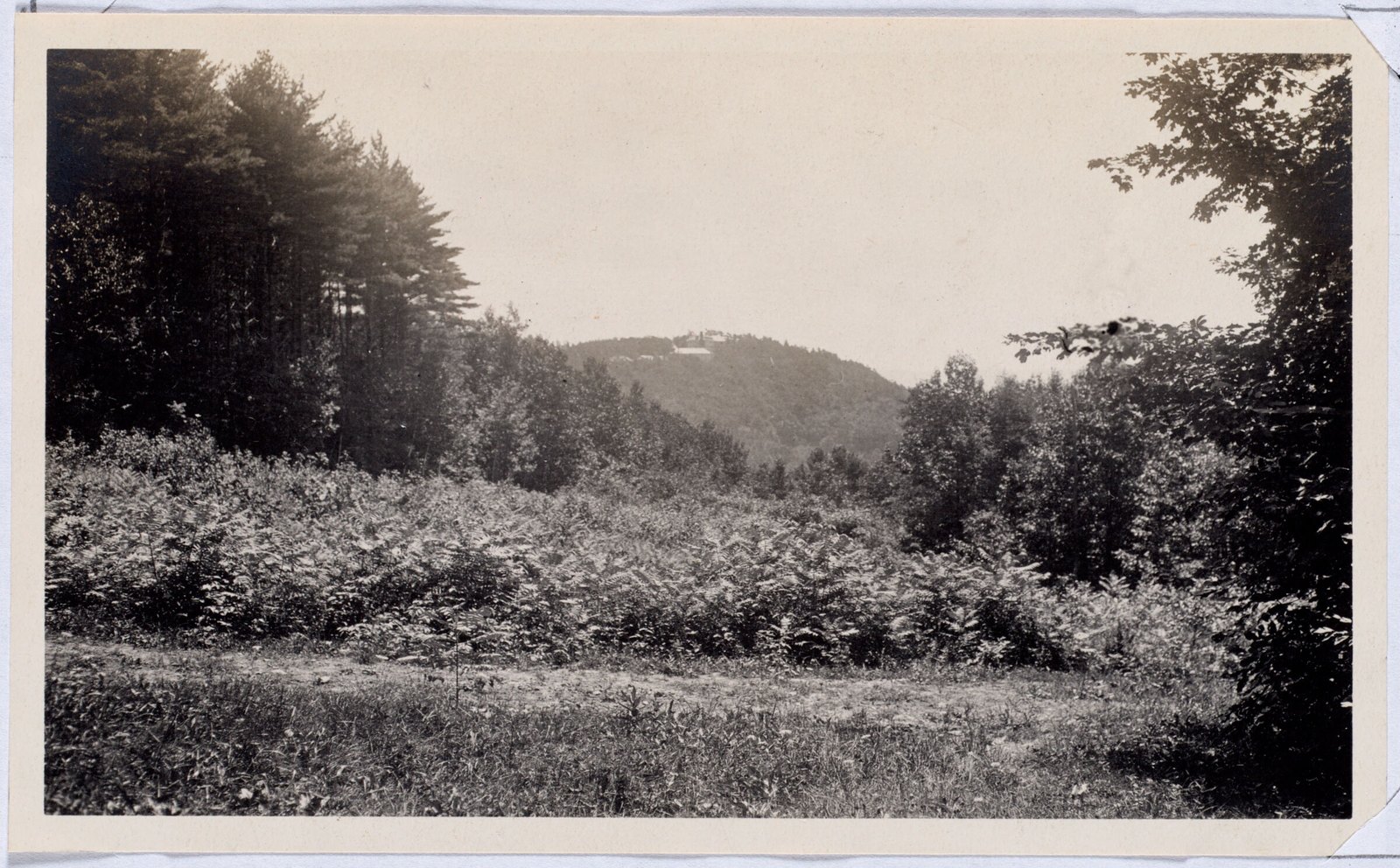 Aspinwall Hotel: from the woods. August 1, 1906.