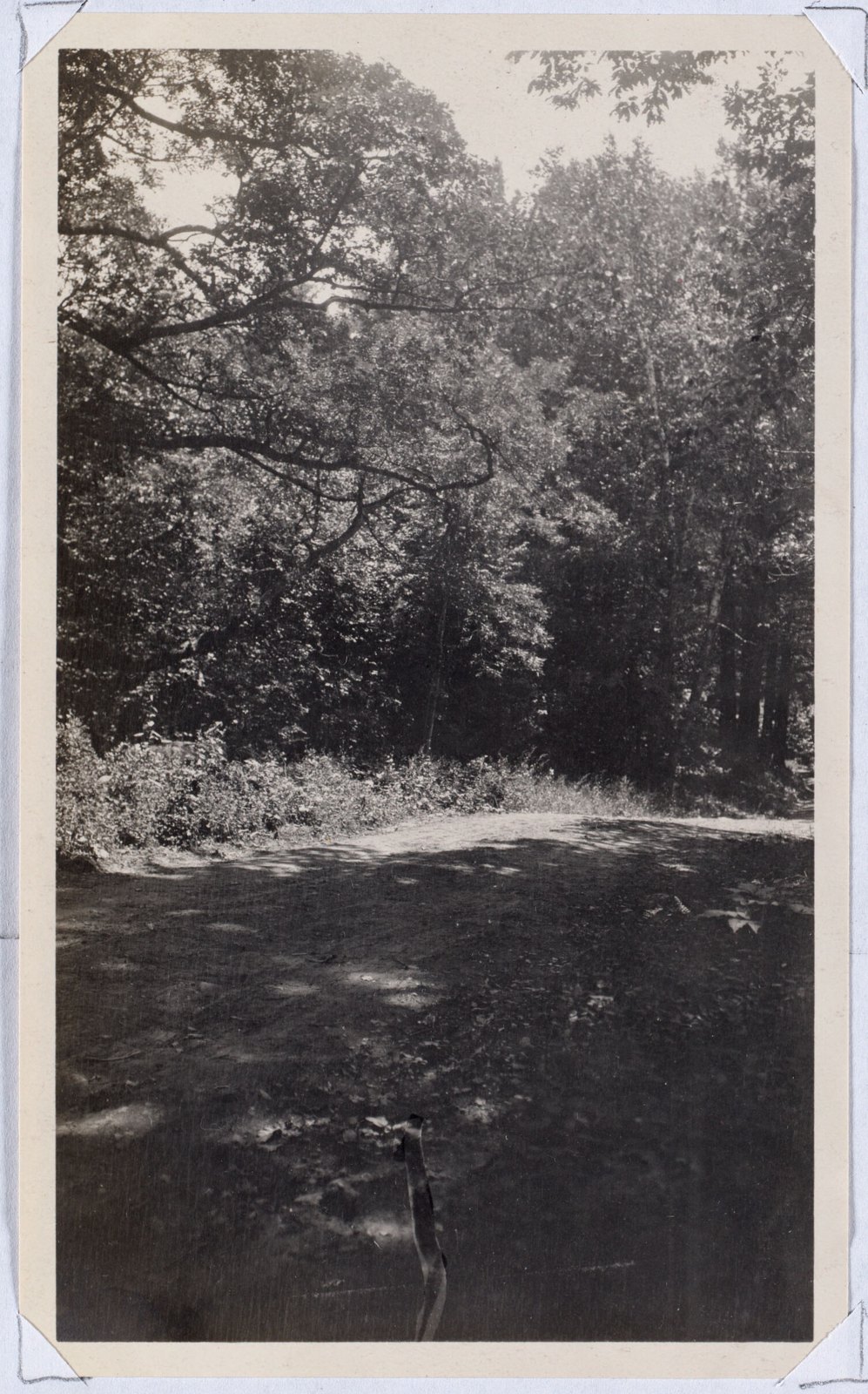 Aspinwall Hotel: daily morning walk. August 1, 1906.