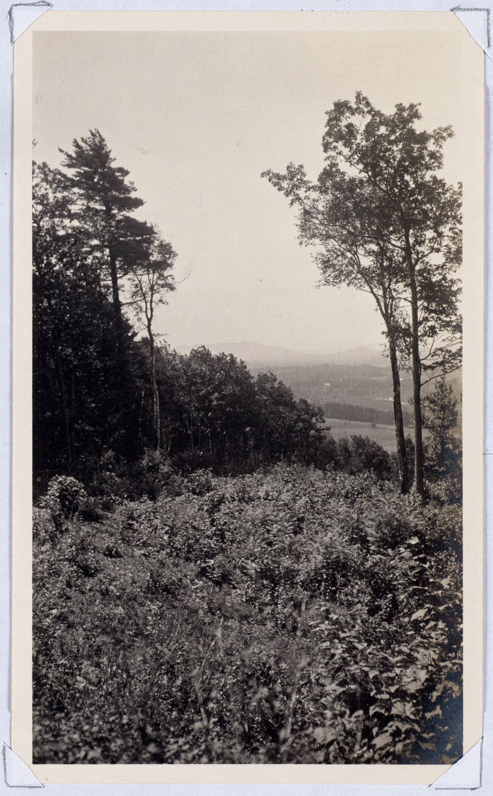 Lenox valley from hill in Woolsey Woods. August 1, 1906.