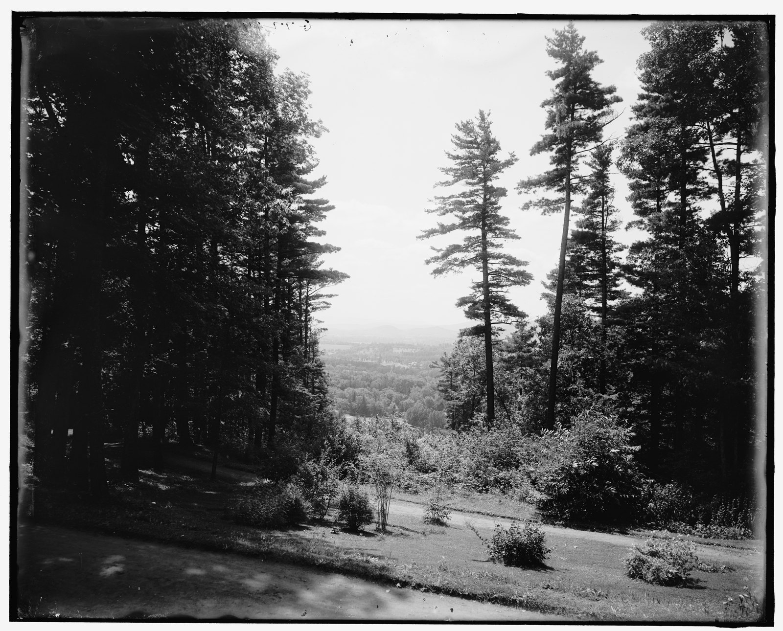“[West from Hotel Aspinwall, Lenox, Mass.]” about 1905–1915. LC-D4-39870.