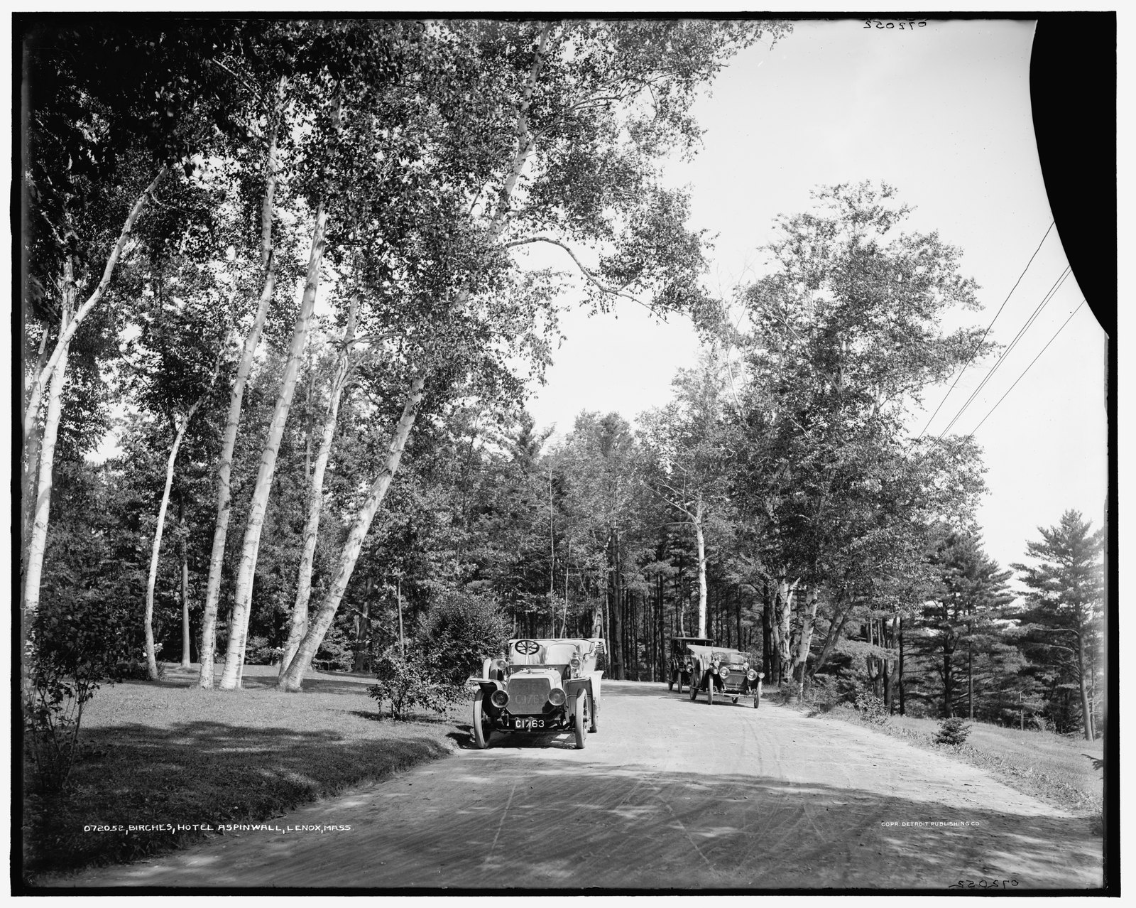 “Birches, Hotel Aspinwall, Lenox, Mass.” about 1905–1915. LC-D4-72052.