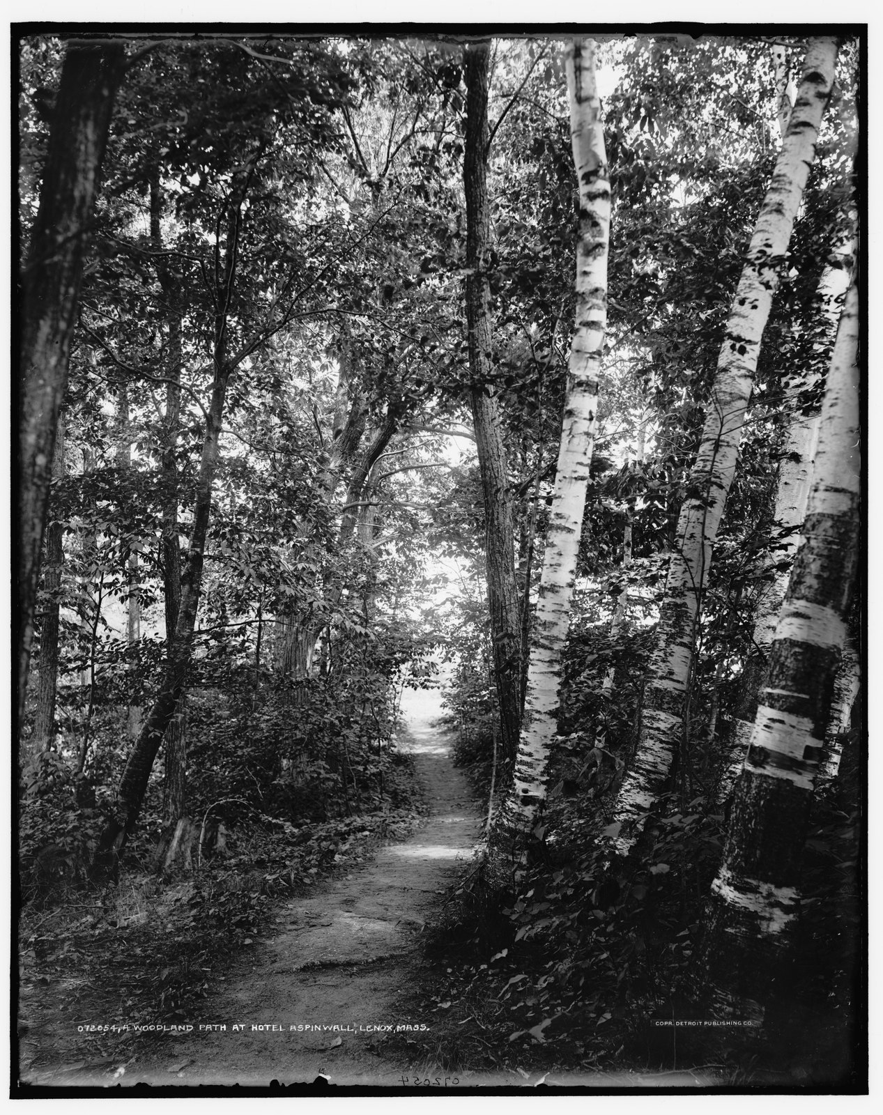“Woodland path at Hotel Aspinwall, Lenox, Mass.” about 1905–1915. LC-D4-72054.