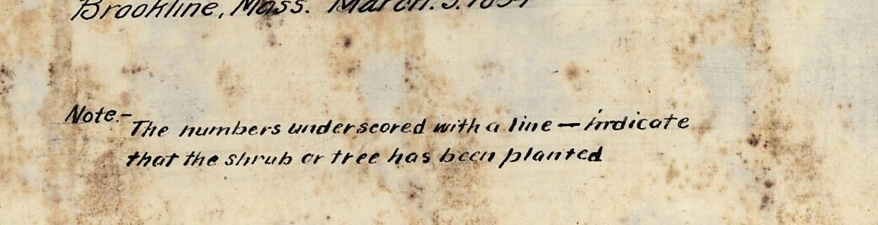 Plan 84, lower margin. Brookline, 3 March 1894.
