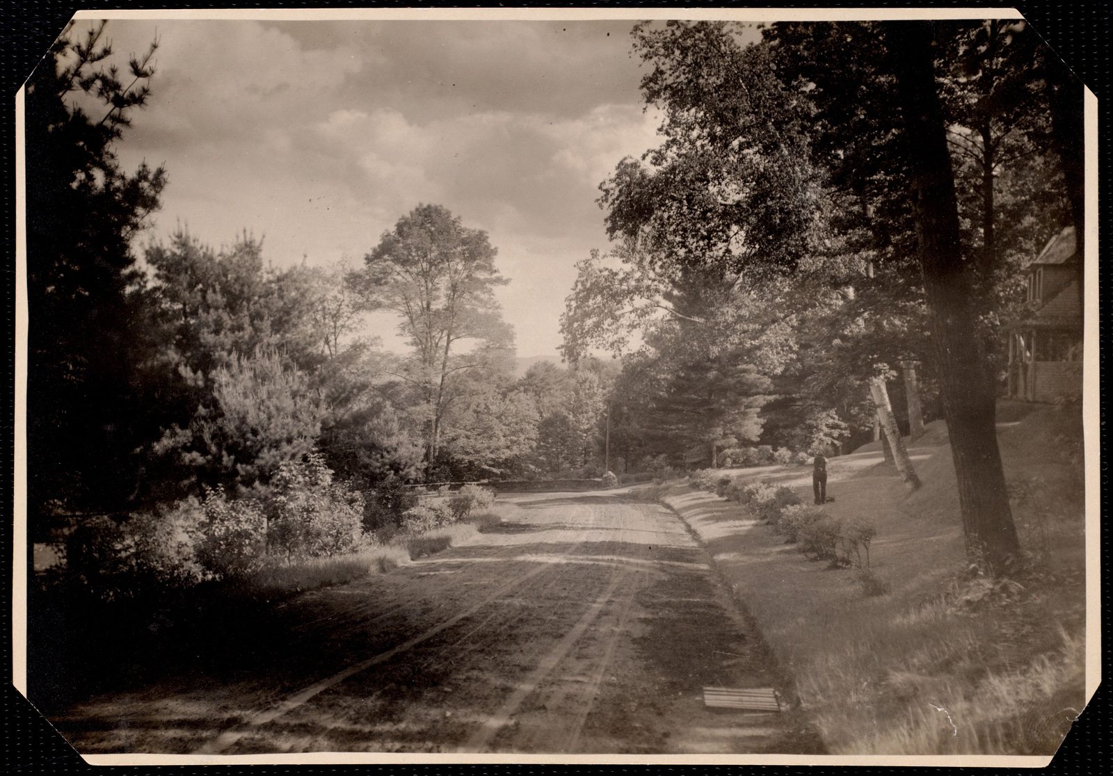 Allen Winden: drive and trees. about 1902–1918.