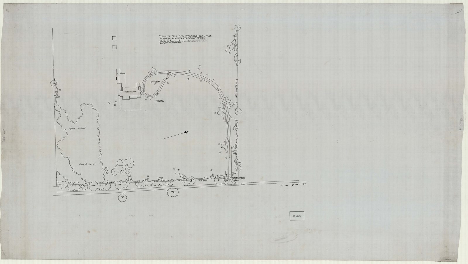 Plan Z1, 10 October 1905. “Planting Plan for Portion of Estate.” Forty feet to the inch, on a sheet 37 by 65 inches.