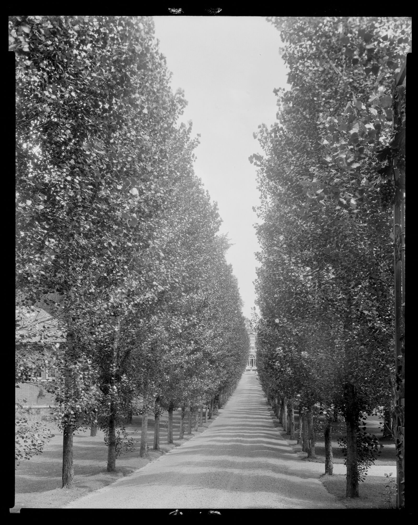 Bellefontaine: entrance allee. about 1925–1933.