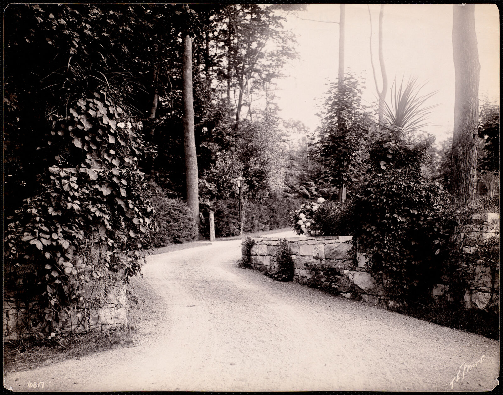 Bellefontaine: curving driveway. about 1899–1910.
