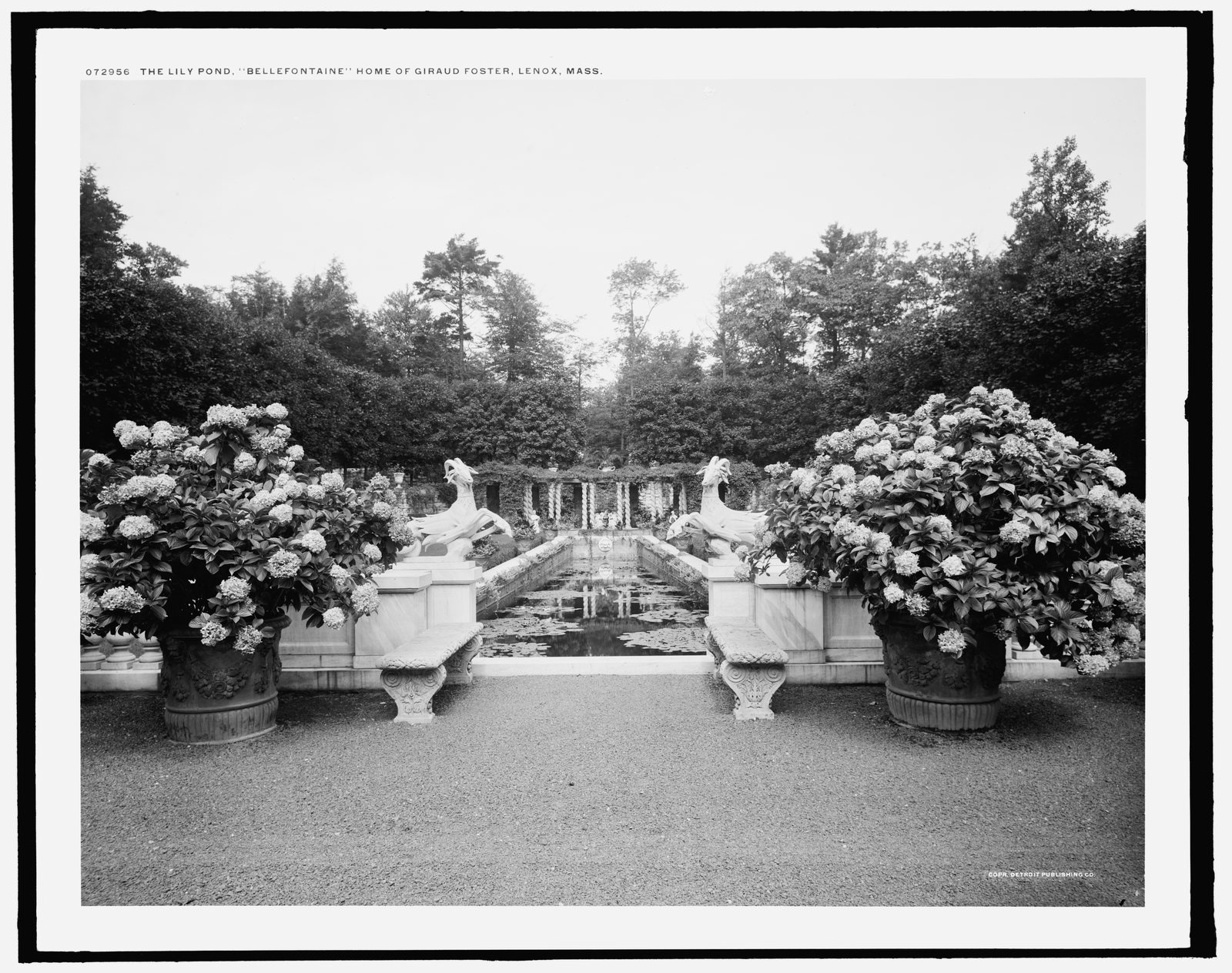 “The Lily pond, Bellefontaine.” 1908. LC-D4-72956.