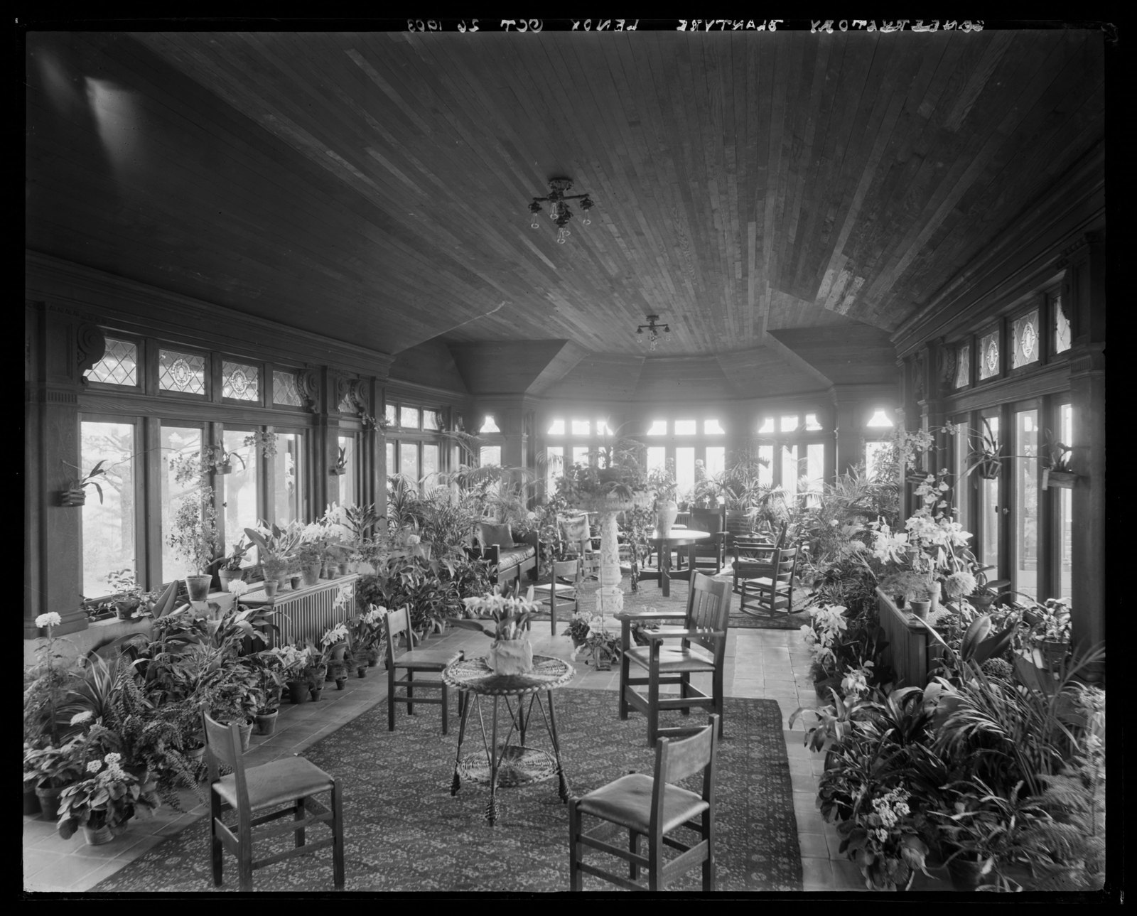 Blantyre: conservatory. October 26, 1903.