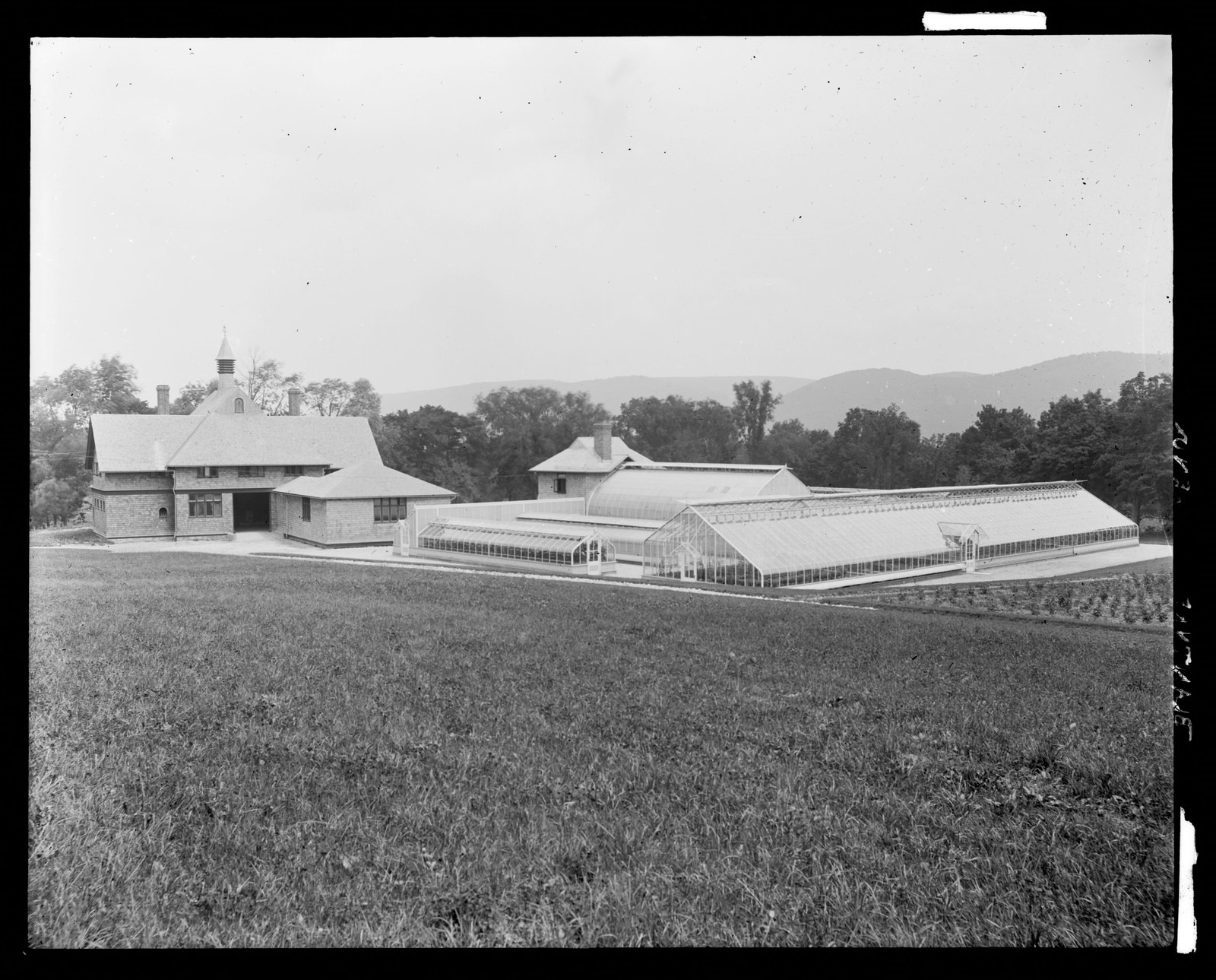 Blantyre: greenhouses. about 1903–1912.