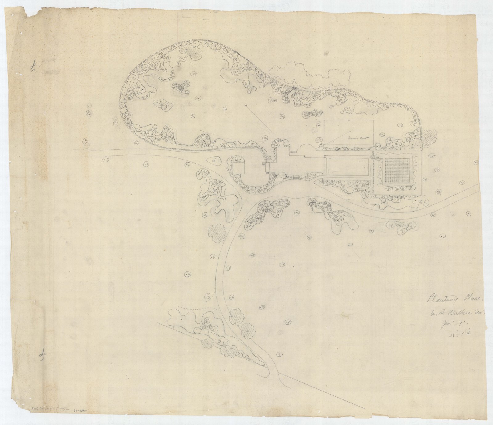 Olmsted job 01092, plan 18 — drive, ground or planting study.