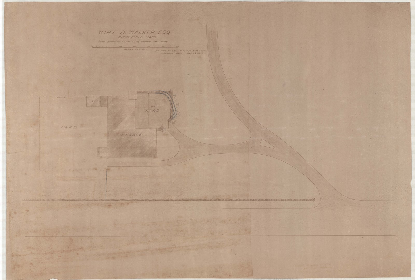 Olmsted job 01092, plan 21 — drive, ground or planting study.