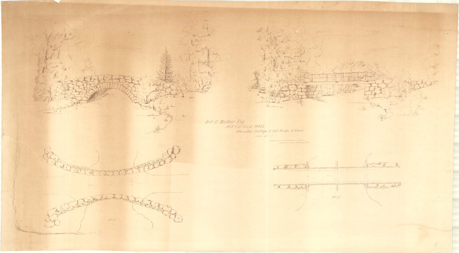 Planting drawn in elevation along a walk. Olmsted job 01092.