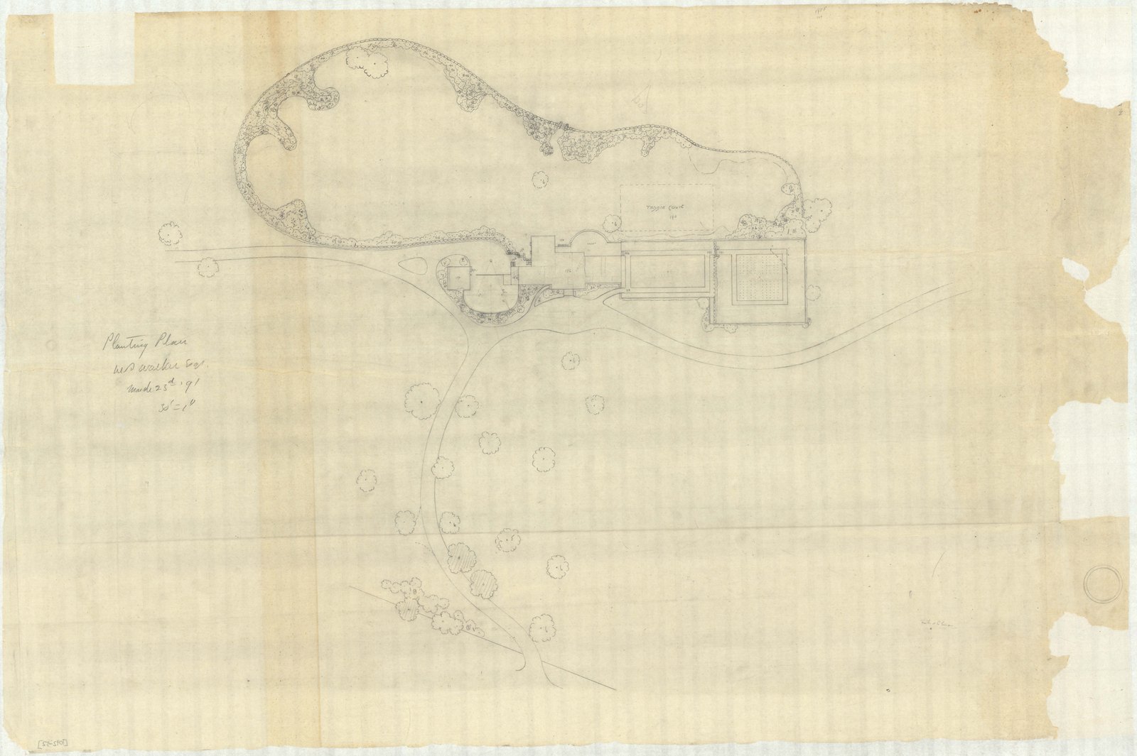 Olmsted job 01092, plan 52 — drive, ground or planting study.