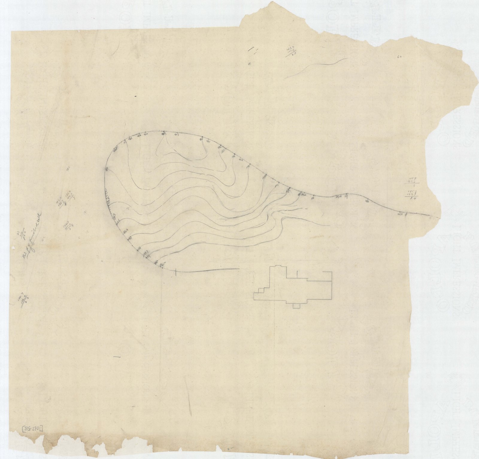 Olmsted job 01092, plan Z13 — drive, ground or planting study.