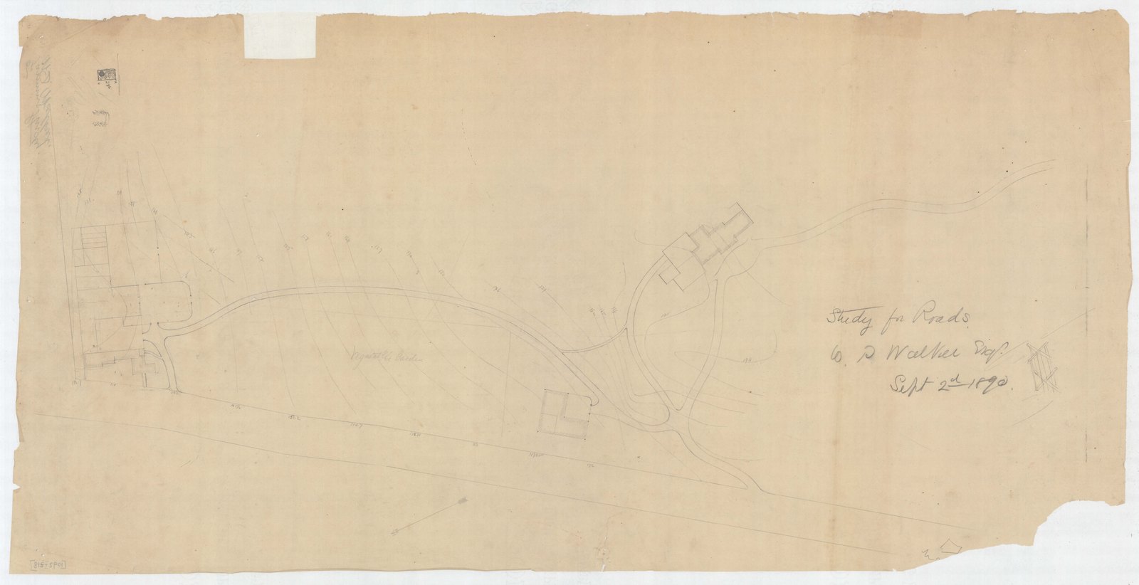 Olmsted job 01092, plan Z18 — drive, ground or planting study.