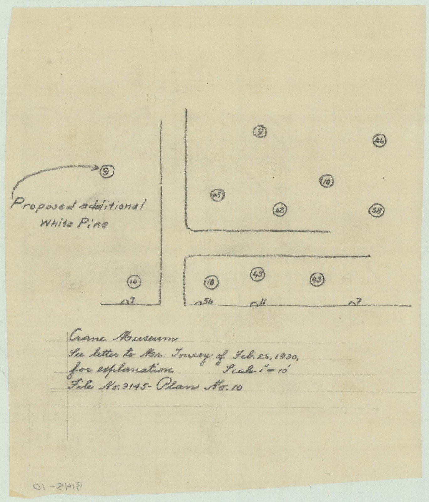 Plan 10, no date. “Crane Museum. See letter to Mr. Toucey of Feb. 26, 1930, for explanation.” Eight and a half by seven and a half inches. Inventory note: “Plan shows tree / plant locations by number, with note ‘proposed additional white pine’.”