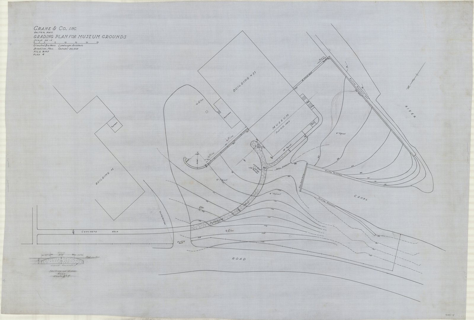 Plan 4, 29 October 1929. “Grading Plan For Museum Grounds.” Inventory note: “Section Across Road, Scale 1/2” = 1’. Flagstone walk, pines added and change in grading in graphite.”