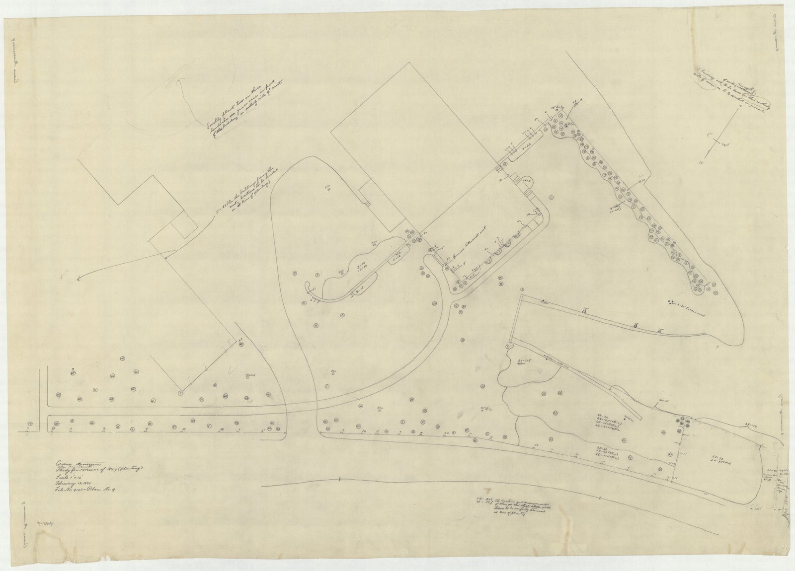 Plan 9, 13 February 1930. “Study For Revision of No. 7 Planting.”