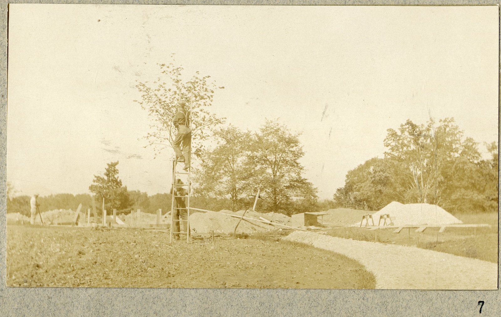 New tree staked, with spoil heaps still on the ground. Print 7.
