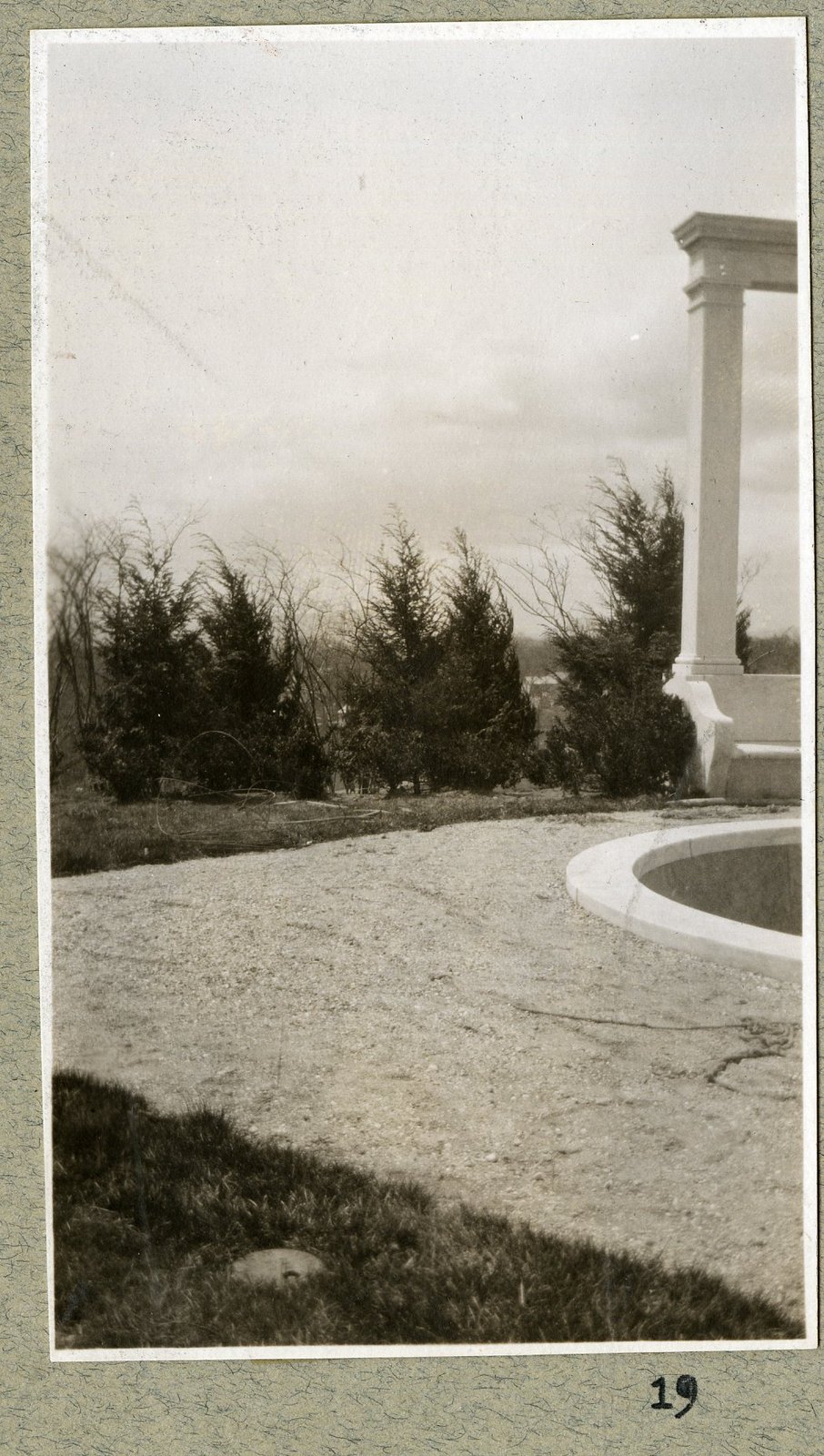 A column and the young evergreen planting. Print 19.