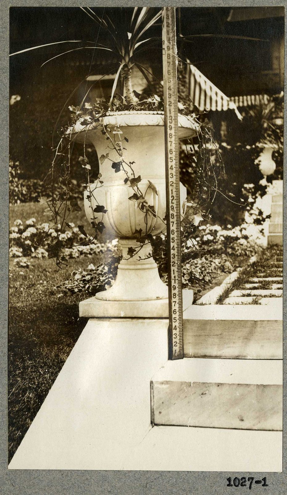 Photograph 1, July 1924. An urn at the garden steps.