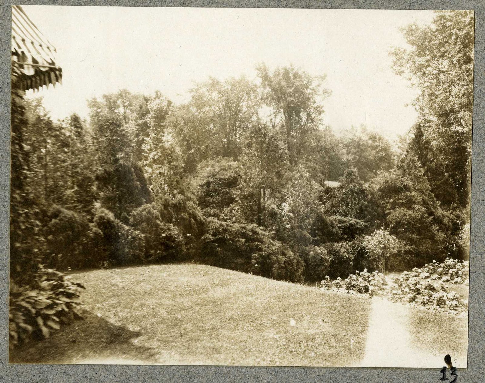 Photograph 13, July 1924. A path at the edge of the lawn.