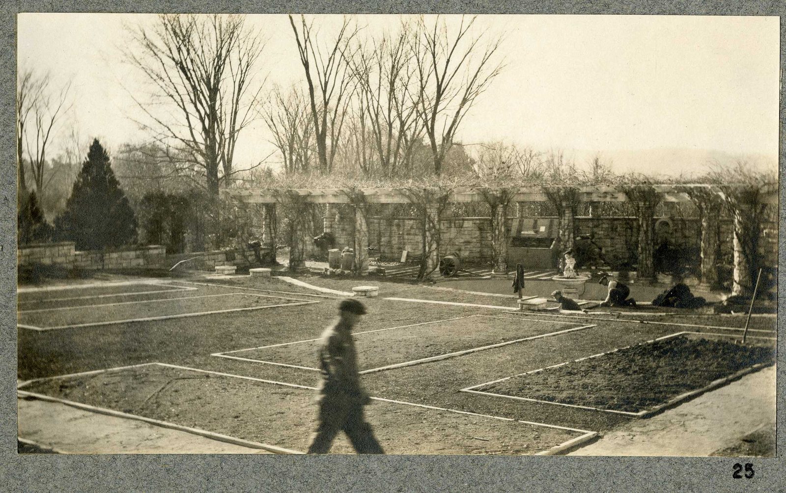Photograph 25, fall 1924. Workmen among the new beds.
