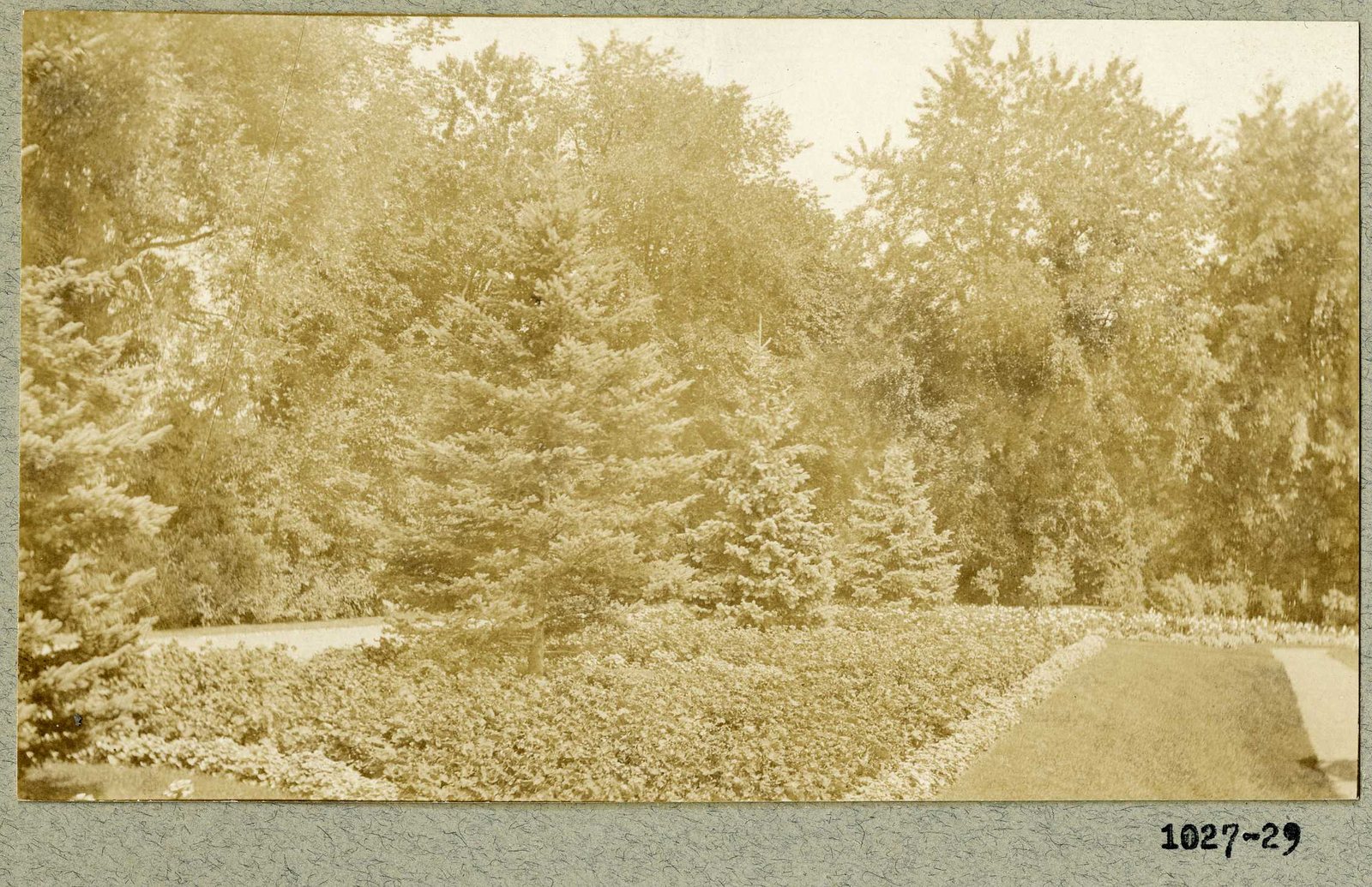 Photograph 29, September 1925.