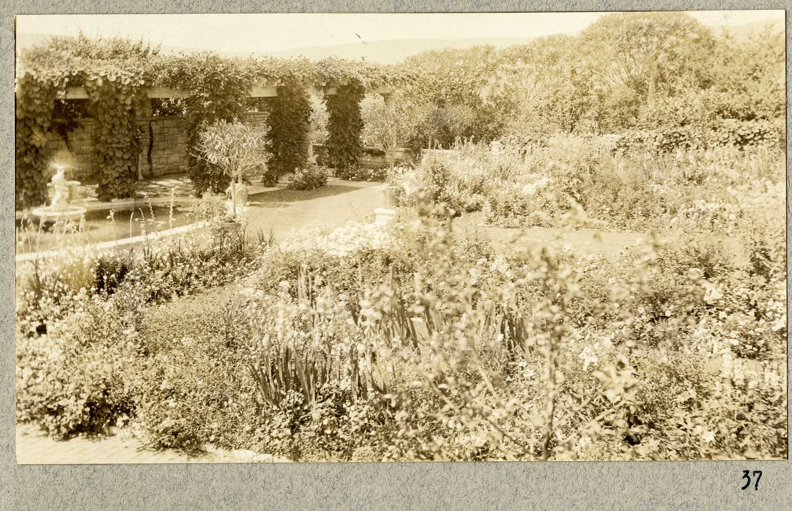 Photograph 37, September 1925. The flower garden in bloom, the pergola behind.