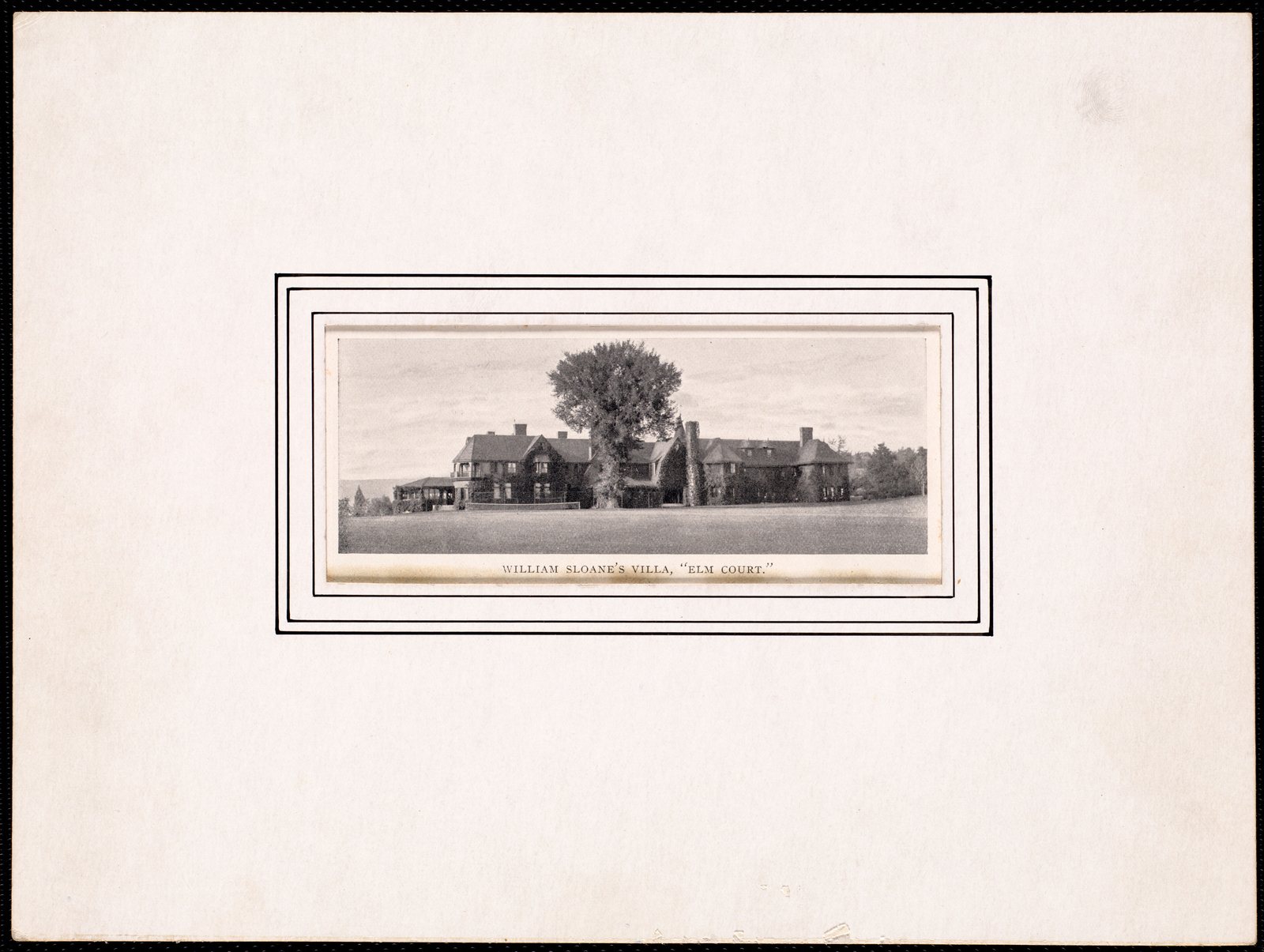 Elm Court: house with big elm tree. About 1900.