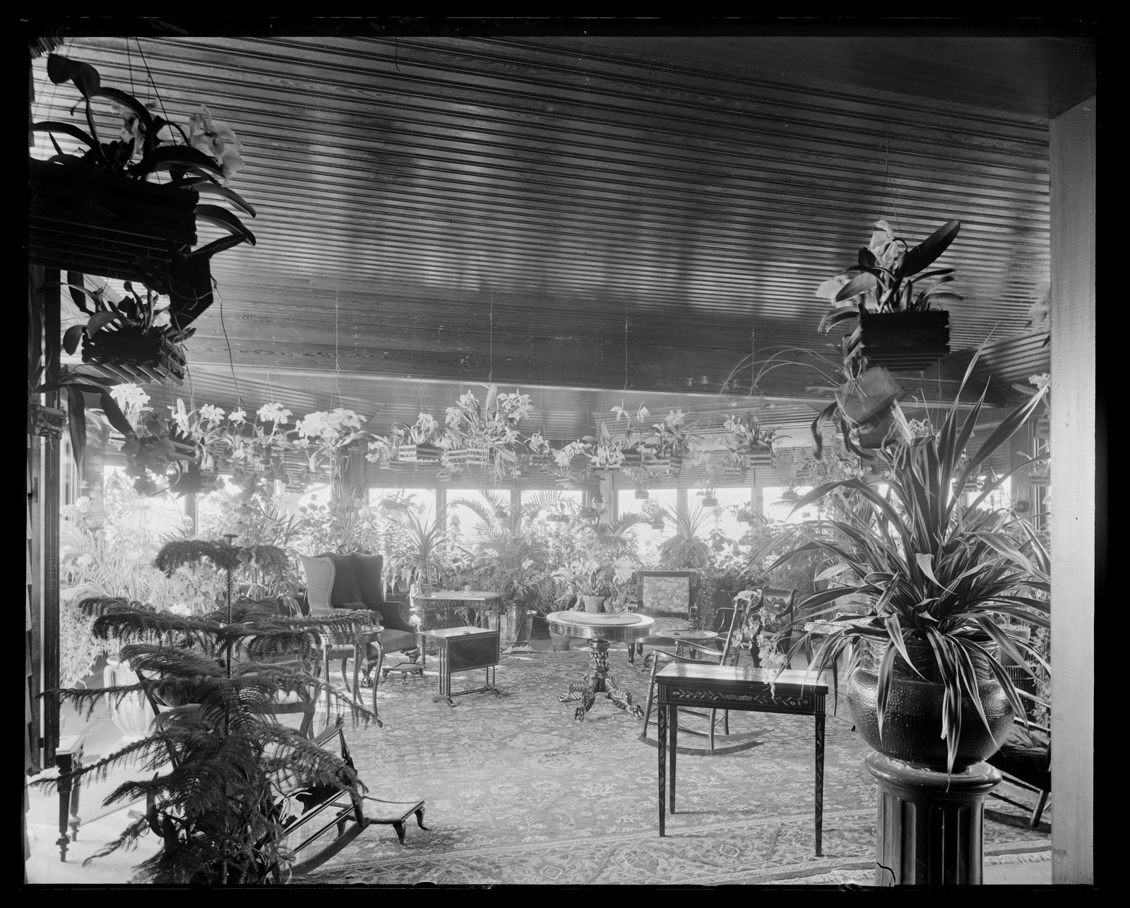 Elm Court: conservatory. Edwin Hale Lincoln.