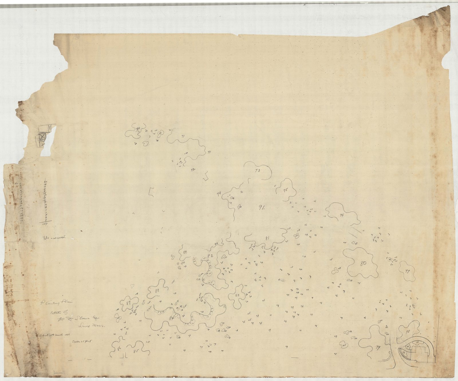 01027-Z53, 15 March 1886. “Planting Plan, Estate of Wm. D. Sloane Esq.”