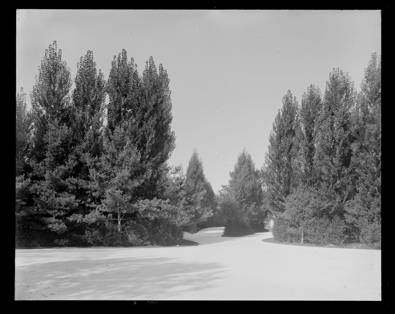 Erskine Park: crushed marble drive.