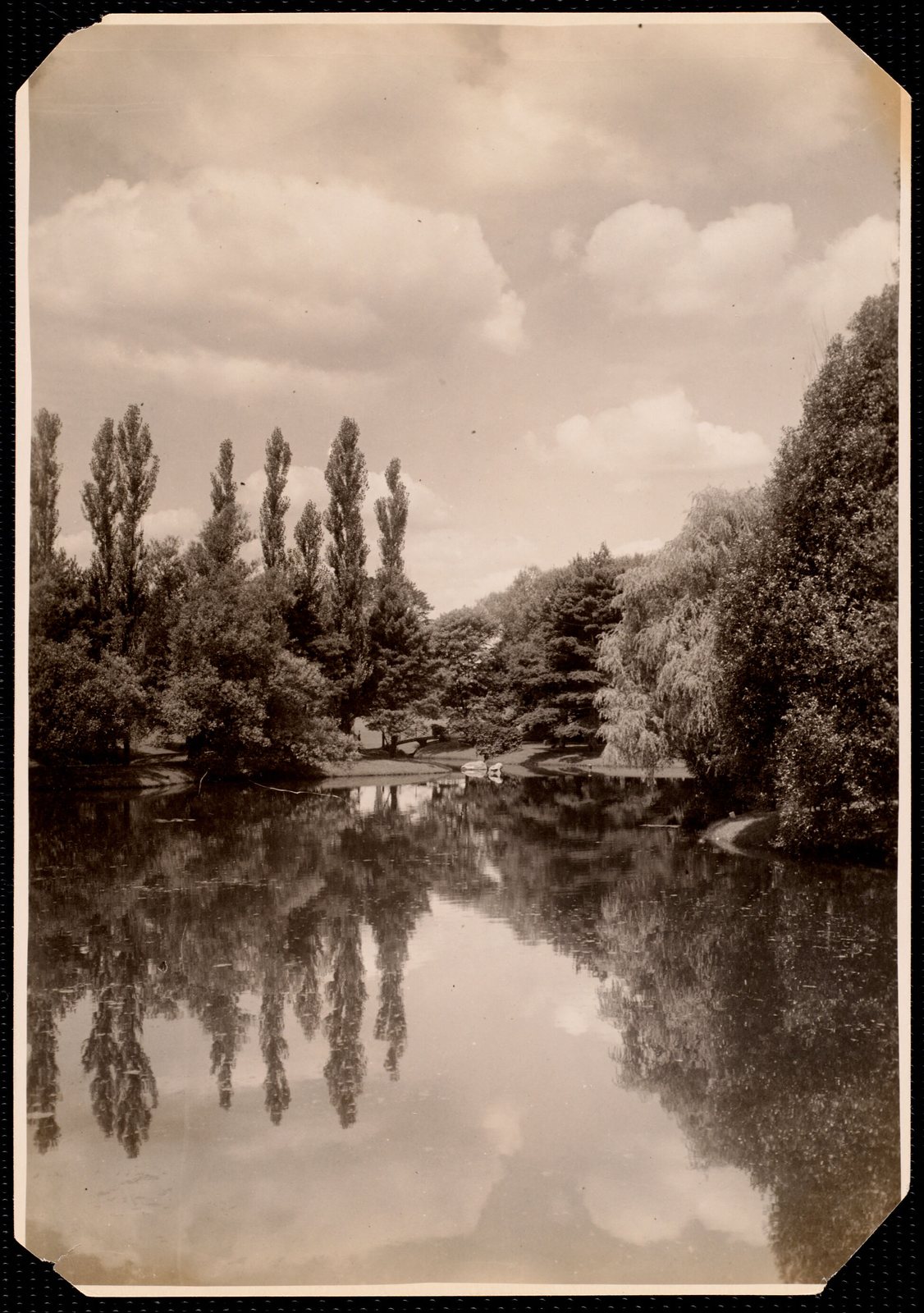 Erskine Park: pond.