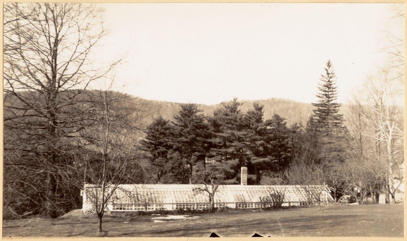 Ethelwyn: greenhouses, east elevation. About 1935–1938.