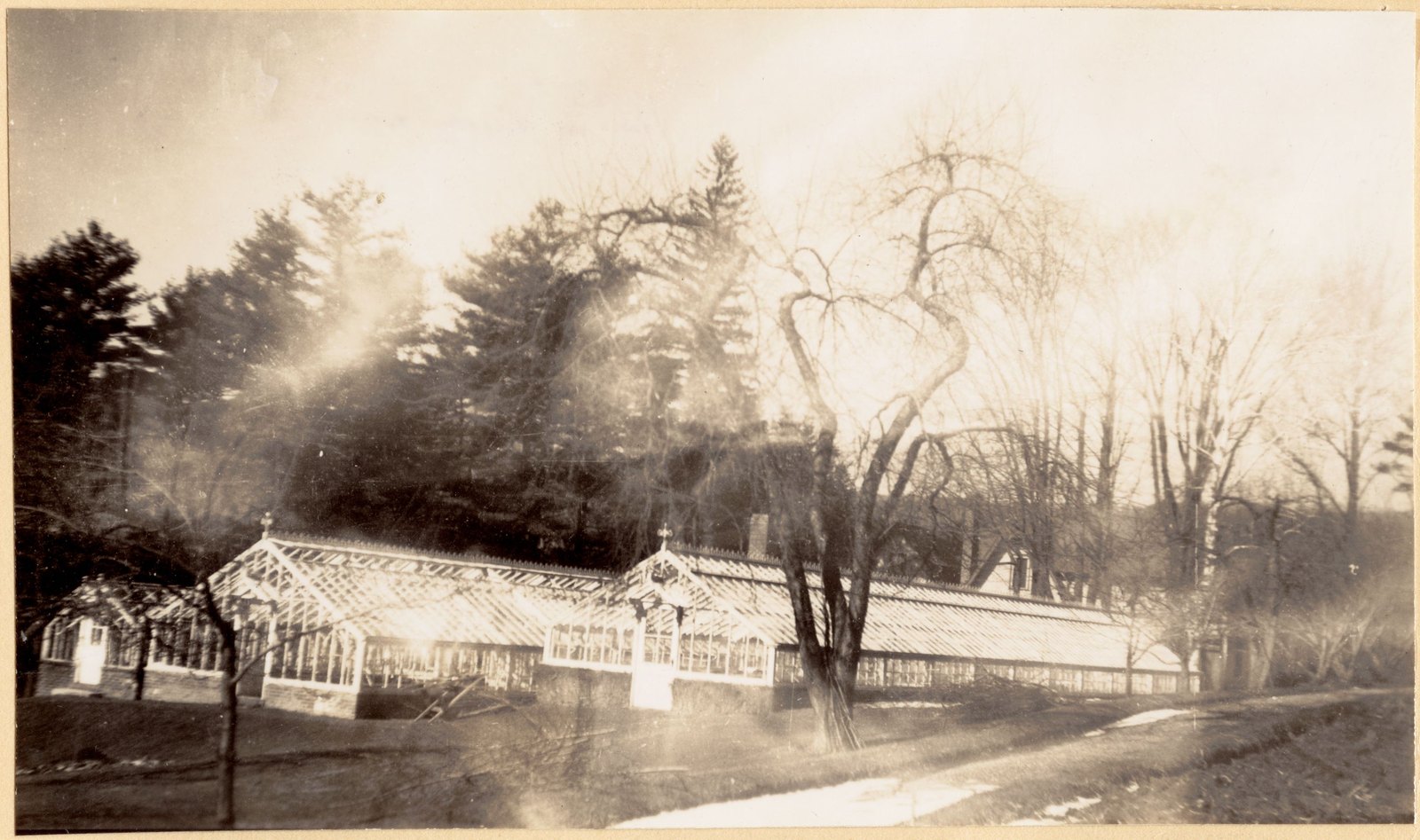 Ethelwyn greenhouses, south elevation. About 1935–1938.