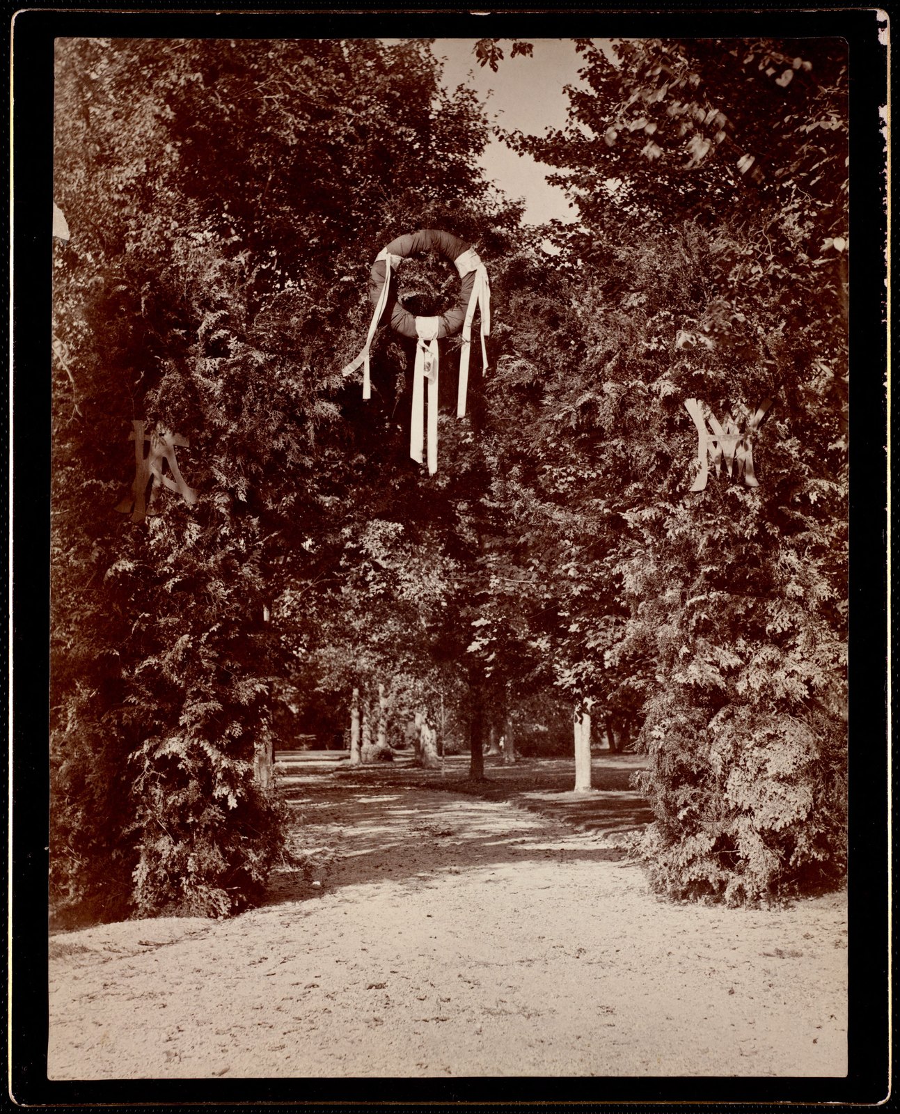 Fairlawn: drive with trees. about 1885.