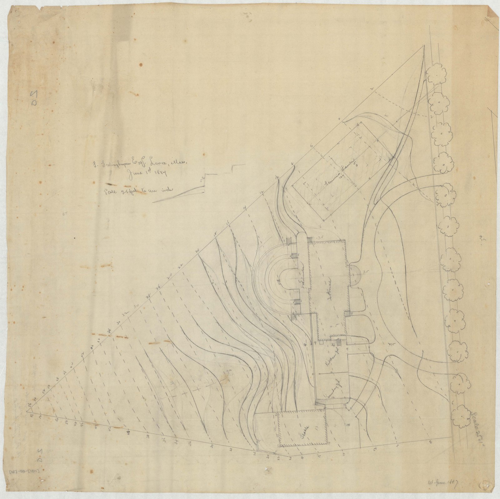 Tracing: grading, with the contours carried through. Olmsted job 01131.